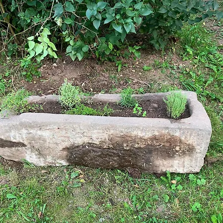 Vosmenda Apartamento *